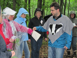 Entdeckungen im Zahlenwald - Seminar zur Fortbildung