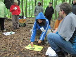 Entdeckungen im Zahlenwald - Seminar zur Fortbildung